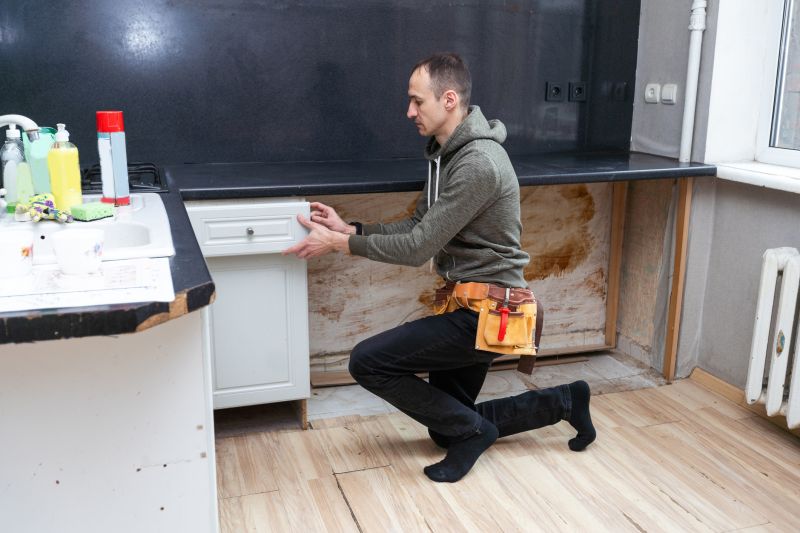 Cabinet Carpentry Service