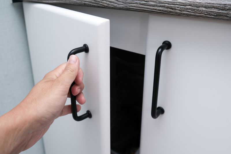 Cabinet Door Repair detail